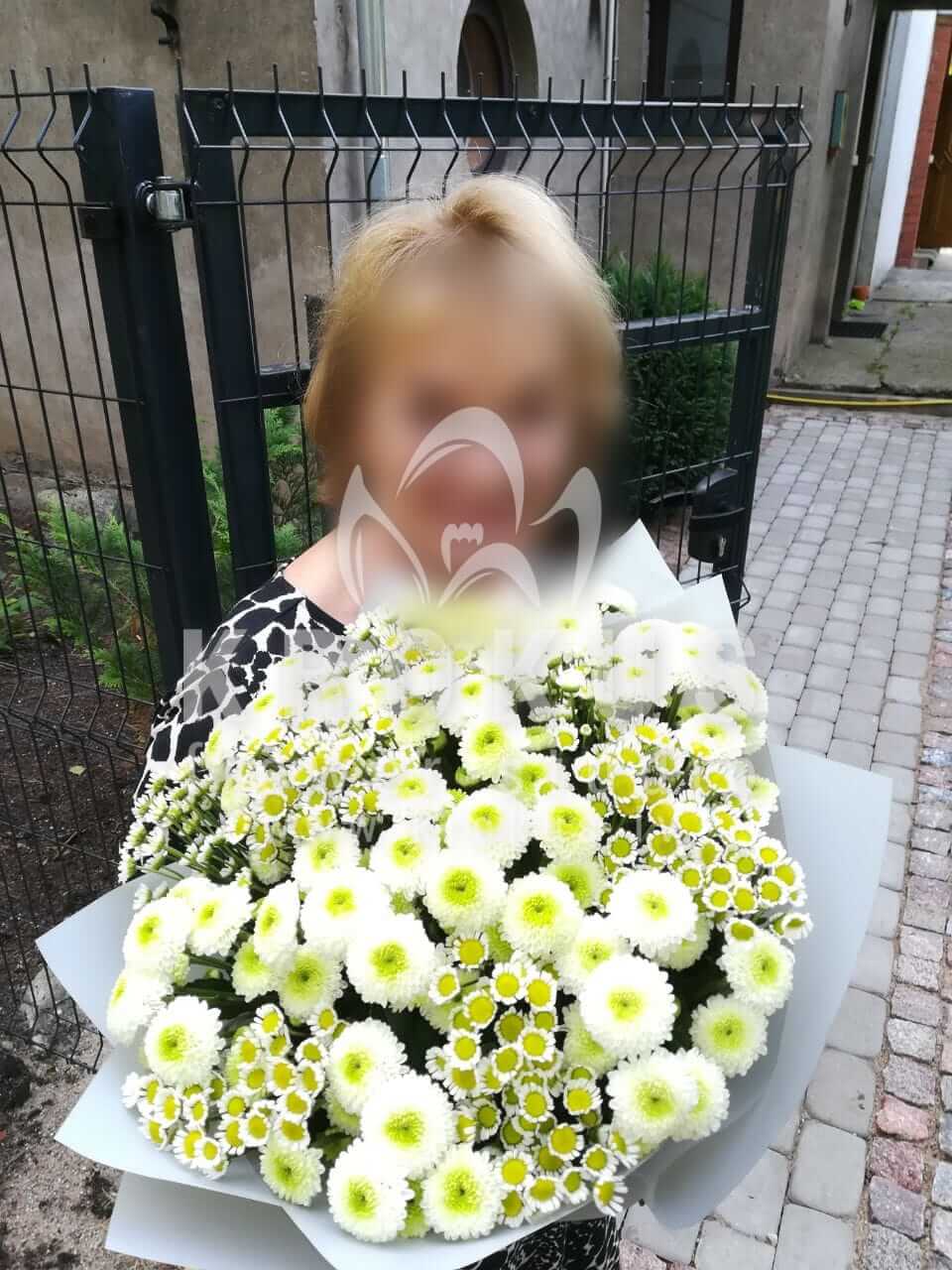 Доставка цветов в город Рига (ромашкихризантемы)
