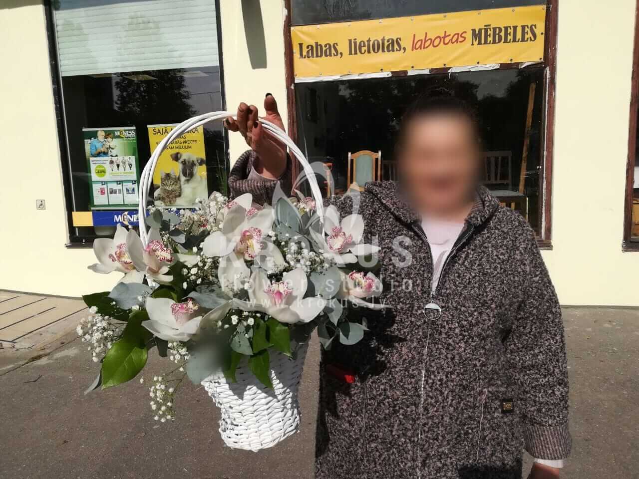 Доставка цветов в город Рига (гипсофилаорхидеиэвкалипт)
