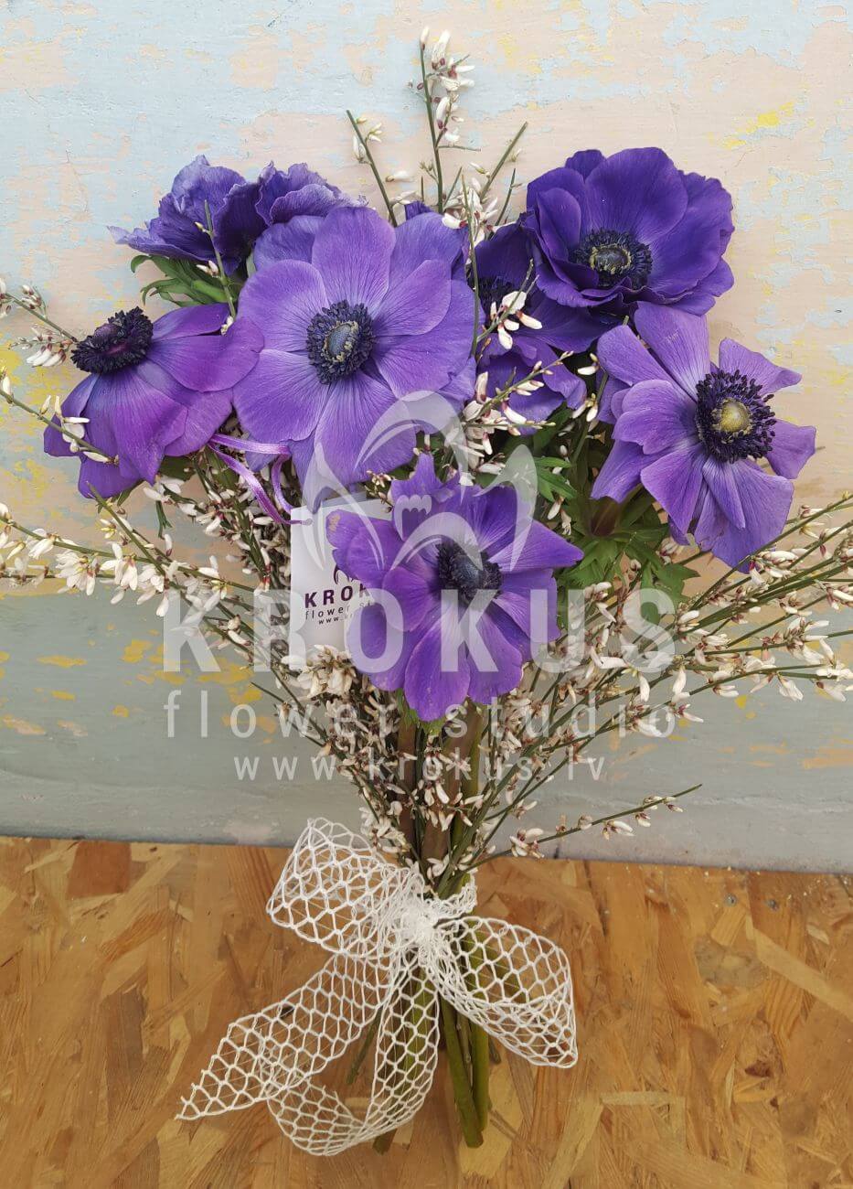 Deliver flowers to Latvia (anemones)