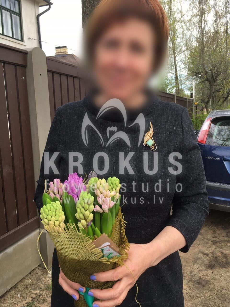 Доставка цветов в город Latvia (гиацинтфисташка)