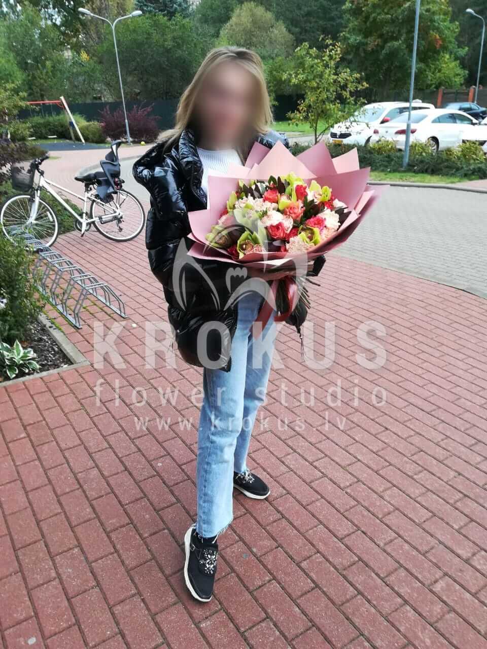 Ziedu piegāde Latvia Rīga (celozijadālijakrēmkrāsas rozesamarillisfēnikssskabiozalauvmutītesdeivida ostina rozes)