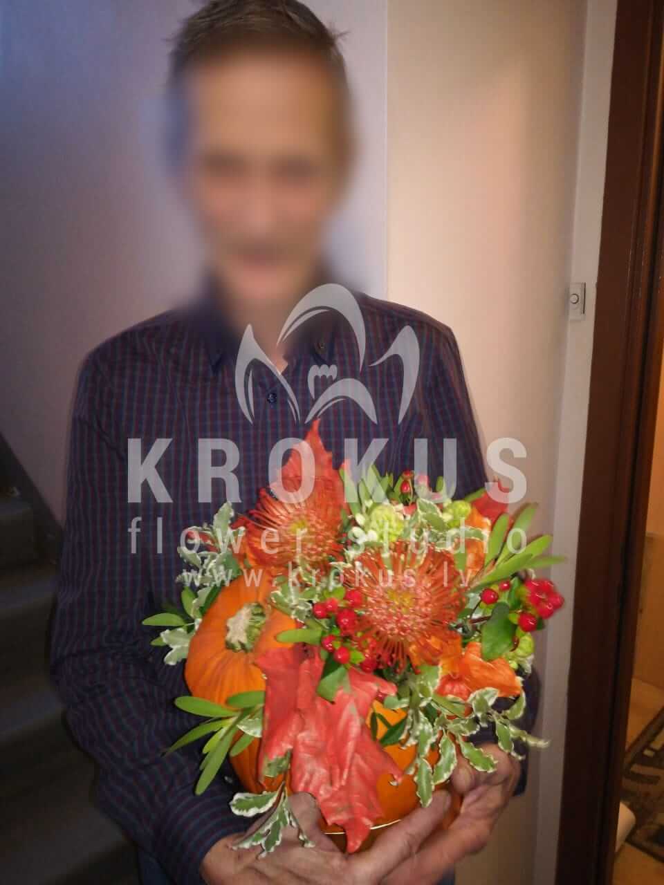 Deliver flowers to Rīga (ilexbrunialeucadendronleucospermumpumpkin)