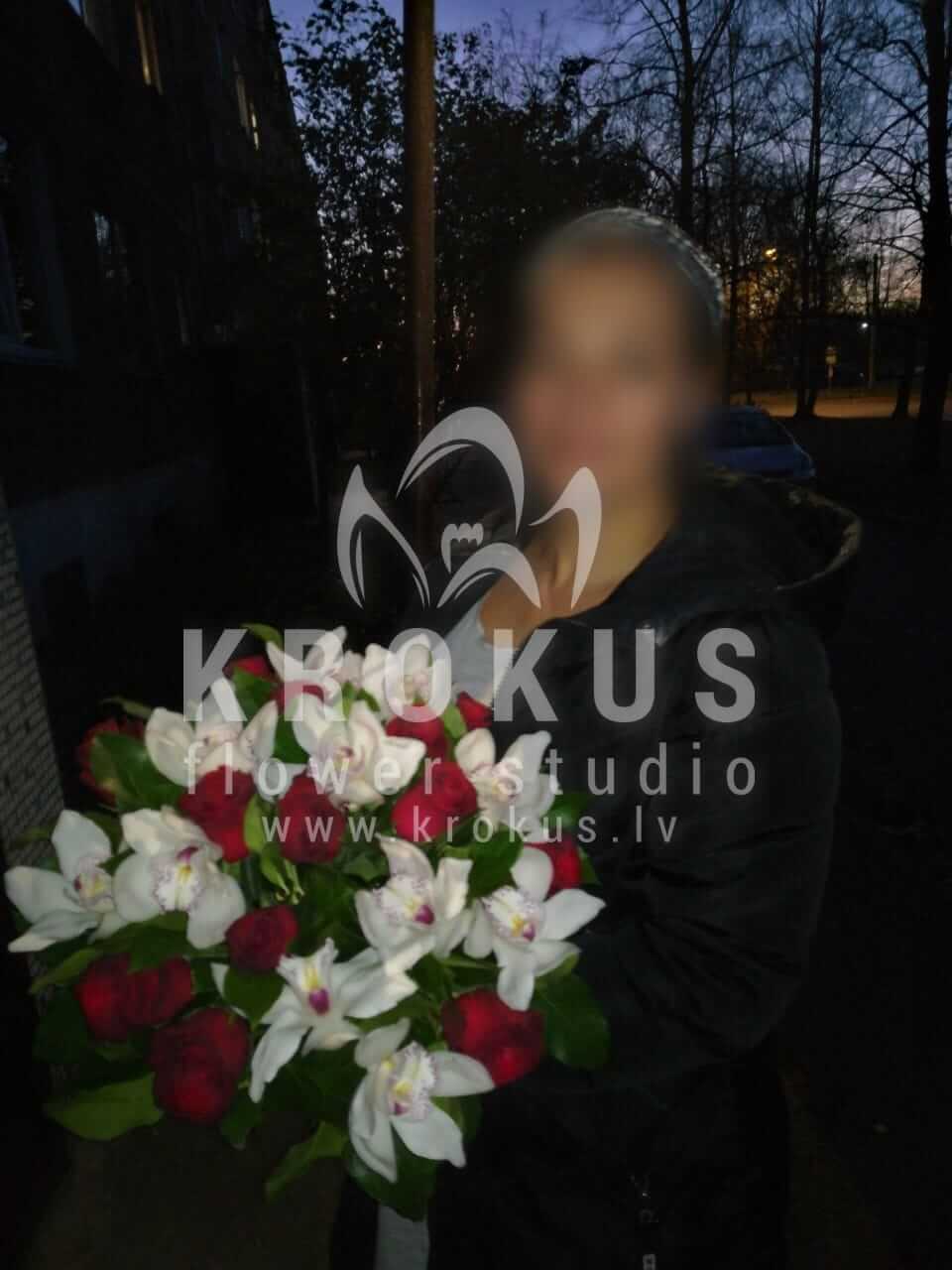 Deliver flowers to Rīga (orchidssalalred roses)