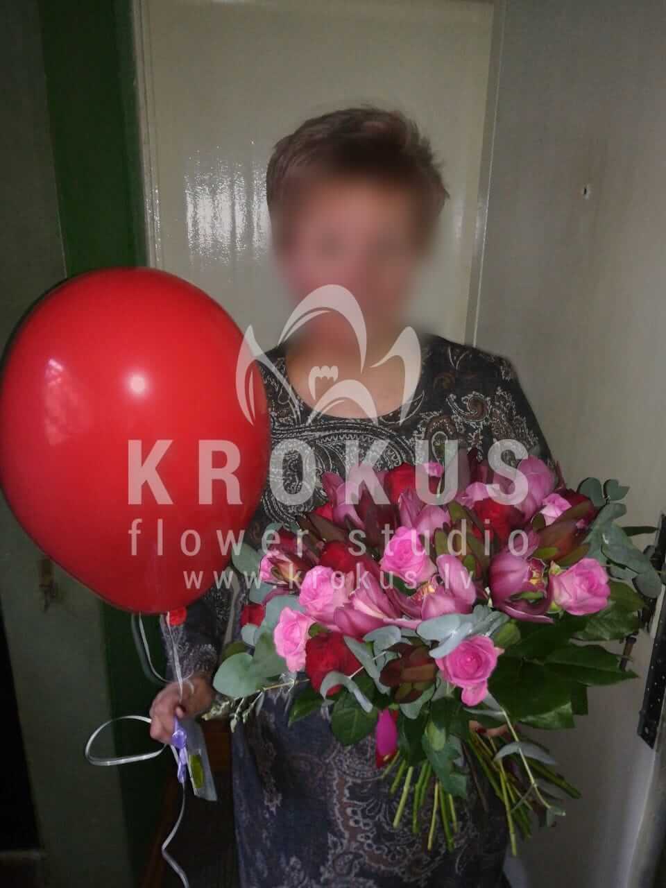 Deliver flowers to Rīga (pink rosesorchidsleucadendrongum treered roses)
