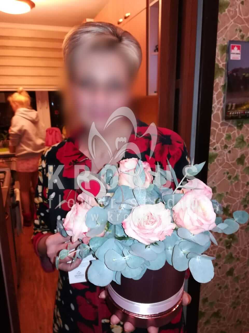 Доставка цветов в город Рига (розовые розыстильная коробкаэвкалипт)