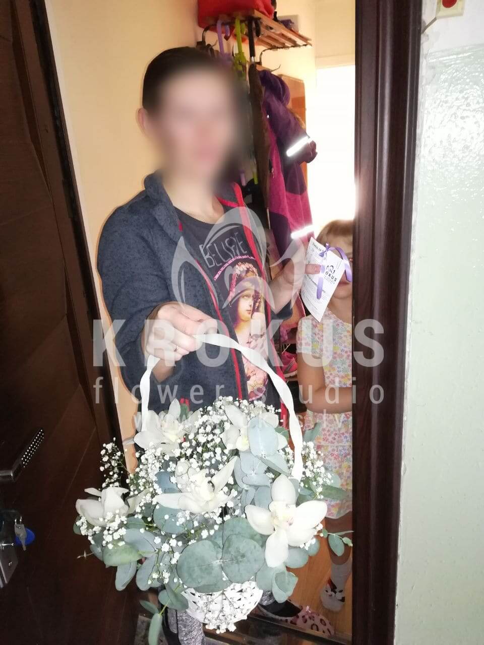 Deliver flowers to Rīga (gypsophilaorchidsgum tree)