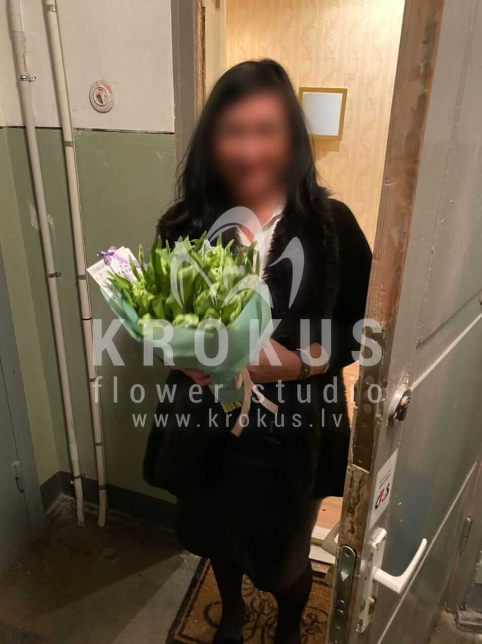 Deliver flowers to Rīga (tulipspeony tulips )