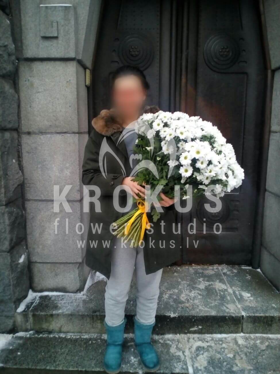 Deliver flowers to Latvia (camomileschrysanthemums)