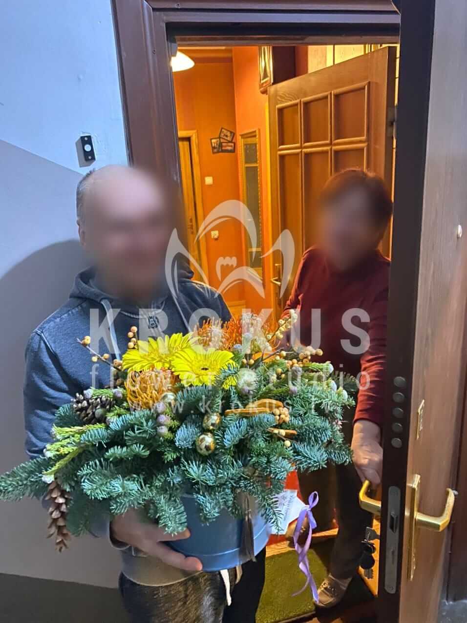 Deliver flowers to Rīga (decorilexsunflowersstylish boxleucospermumnoble fir)