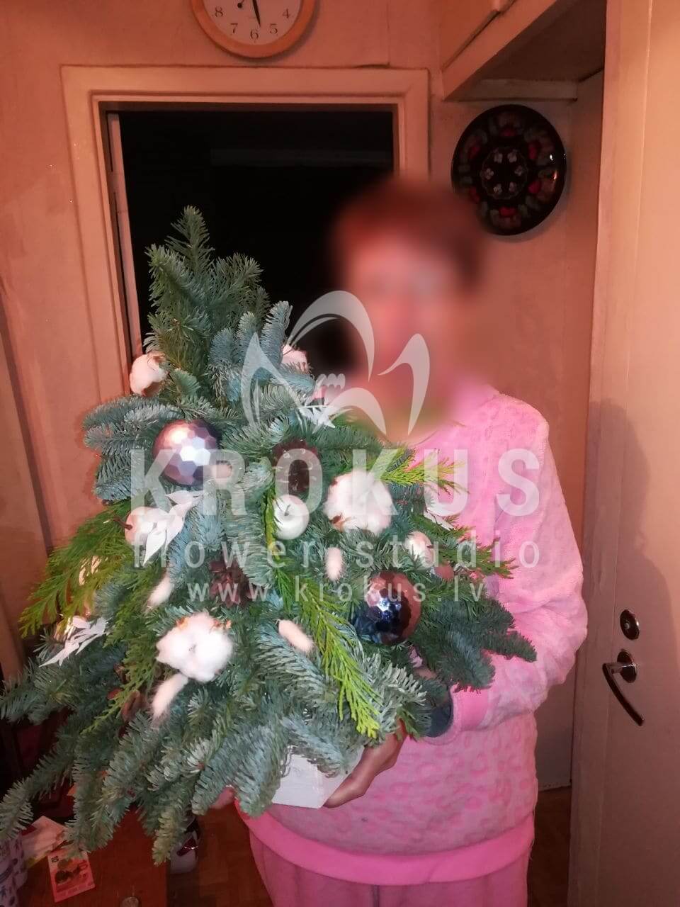 Deliver flowers to Rīga (decornoble fir)