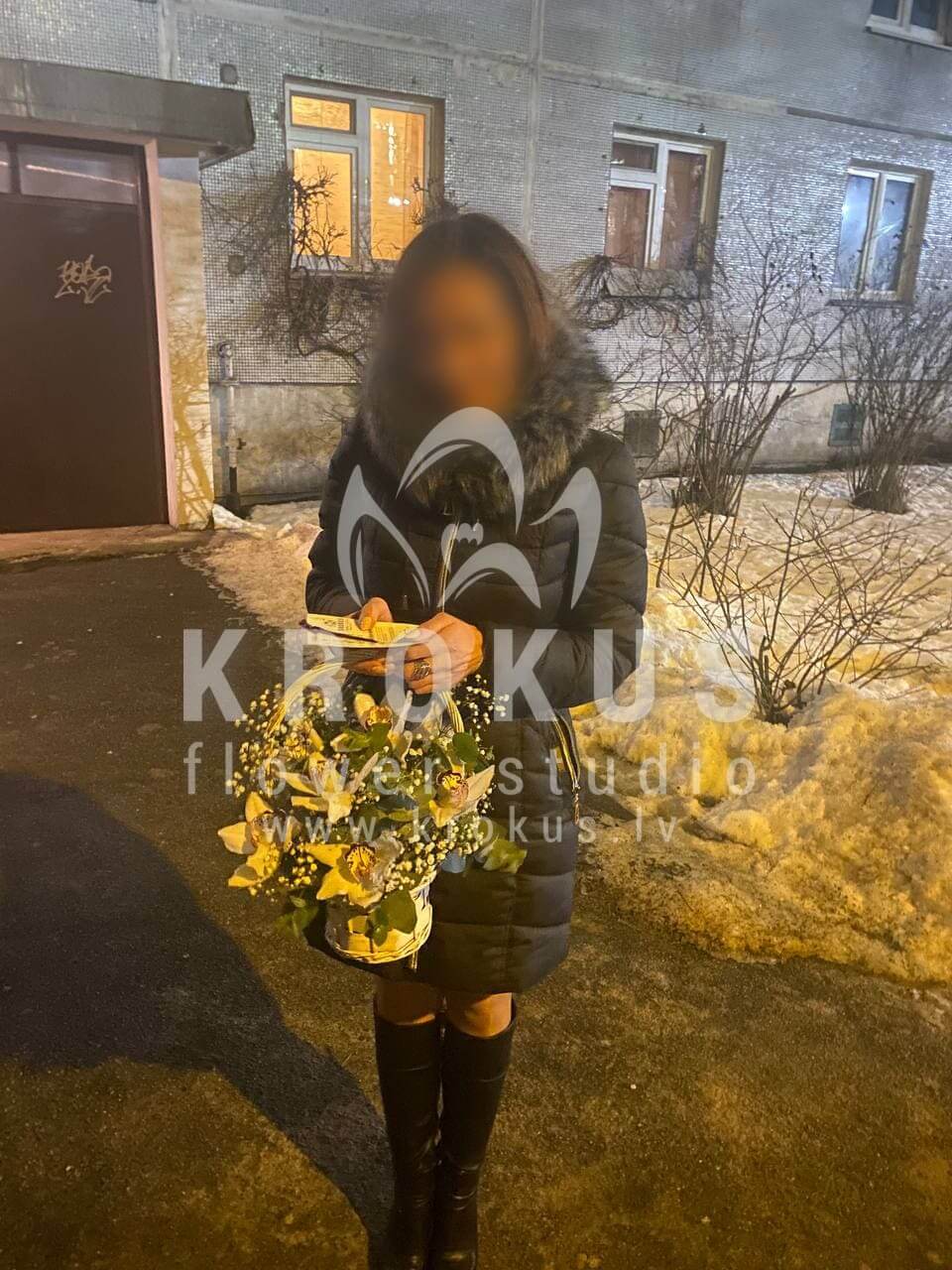 Deliver flowers to Rīga (gypsophilaorchidsgum tree)