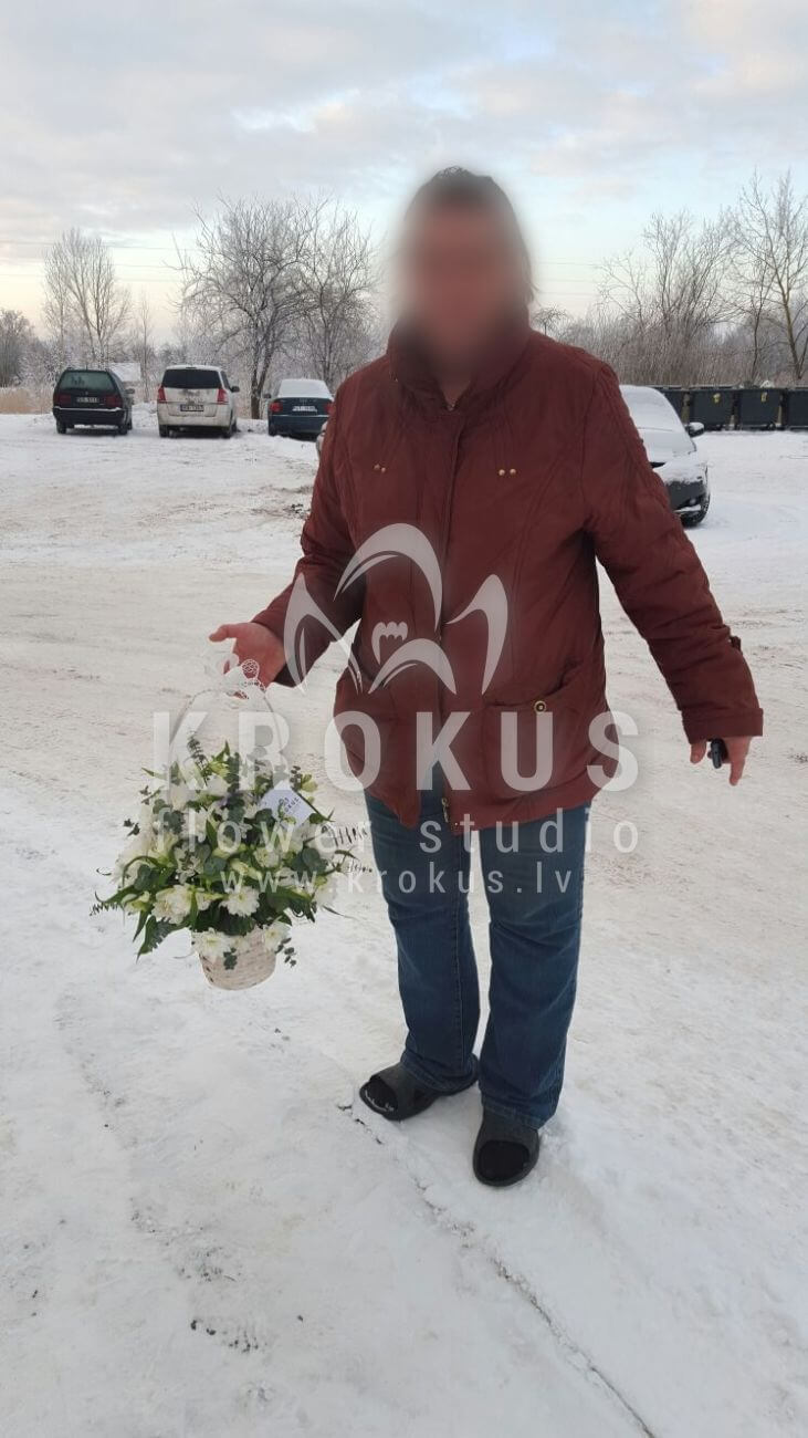Ziedu piegāde Latvia Latvia (matiolaalstremērijaligustrskrizantēmas eikaliptssalal (goltjēra)lauvmutītes)