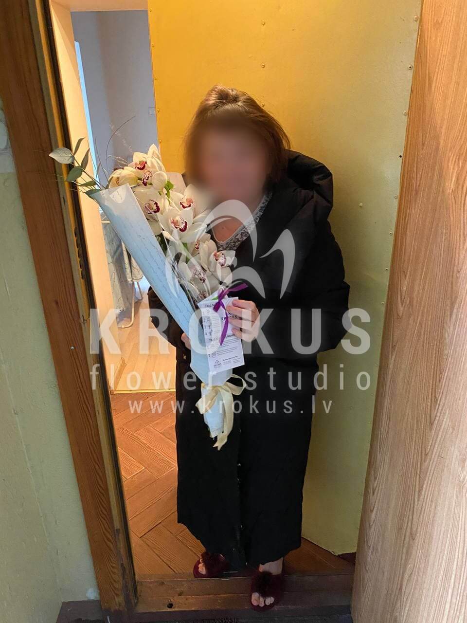 Deliver flowers to Rīga (orchids)