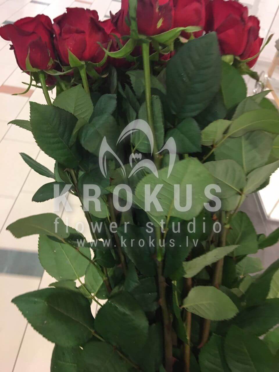 Deliver flowers to Latvia (red roses)