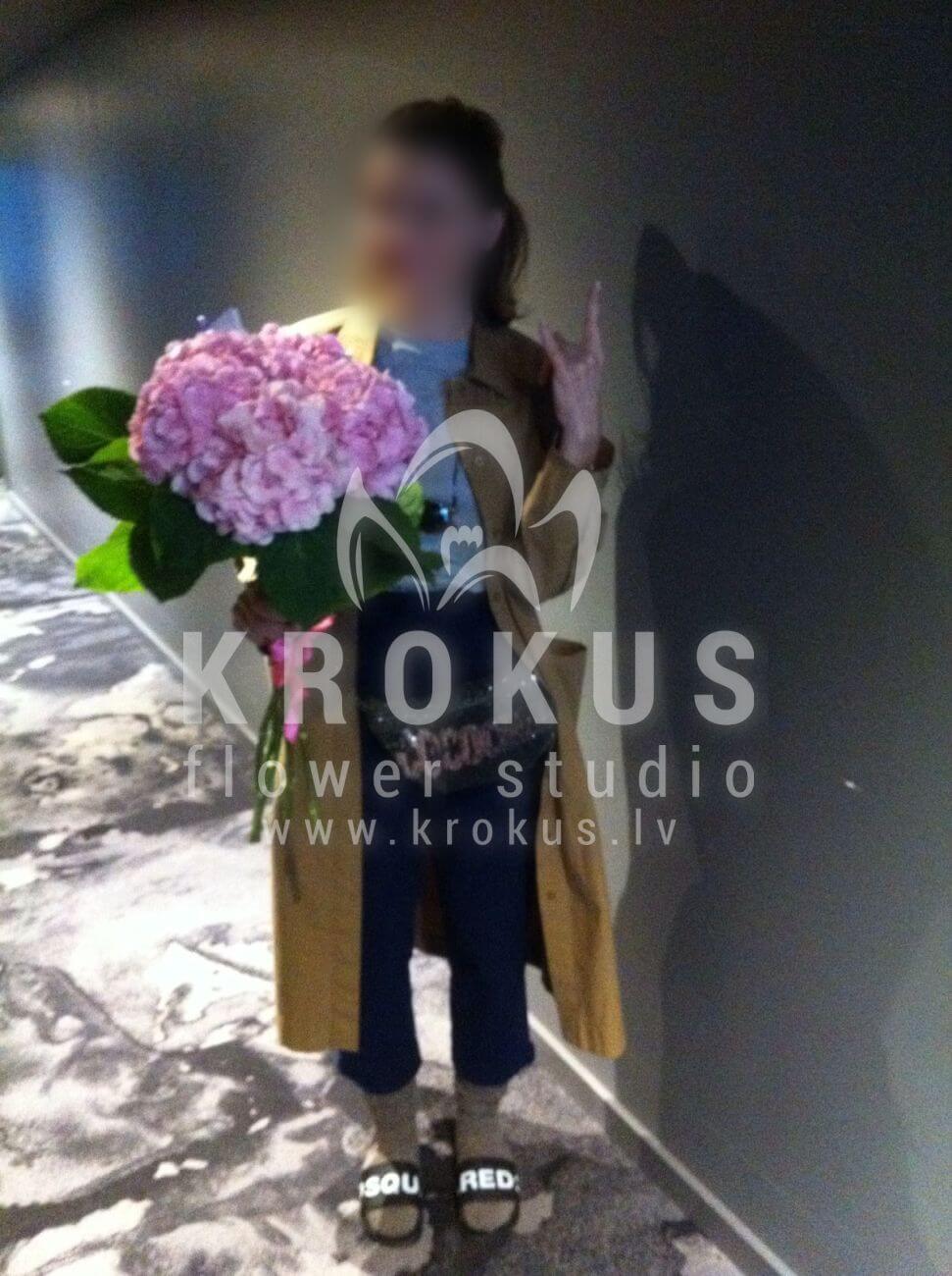 Доставка цветов в город Latvia (маттиолабелые розыгортензии)