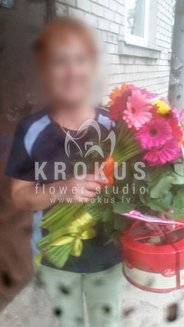 Ziedu piegāde Latvia Latvia (divkrāsu rozessalal (goltjēra)gerberas)