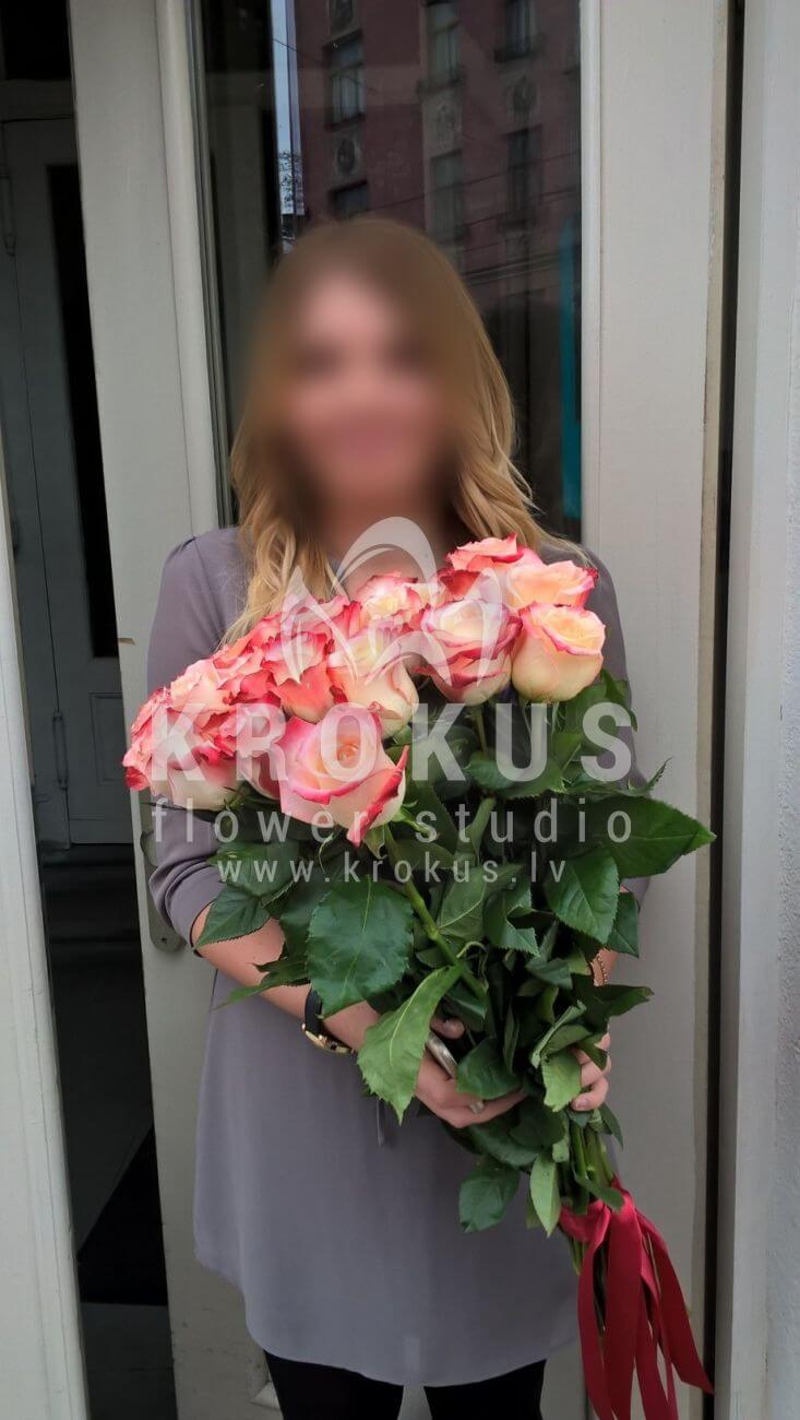 Deliver flowers to Latvia (bicolor roses)