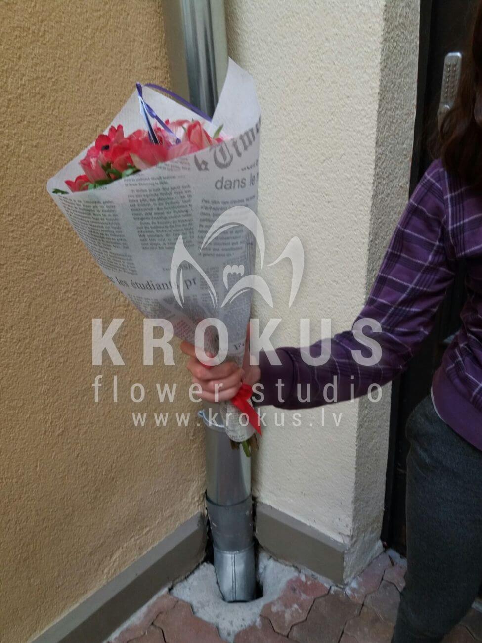 Доставка цветов в город Latvia (анемоны)