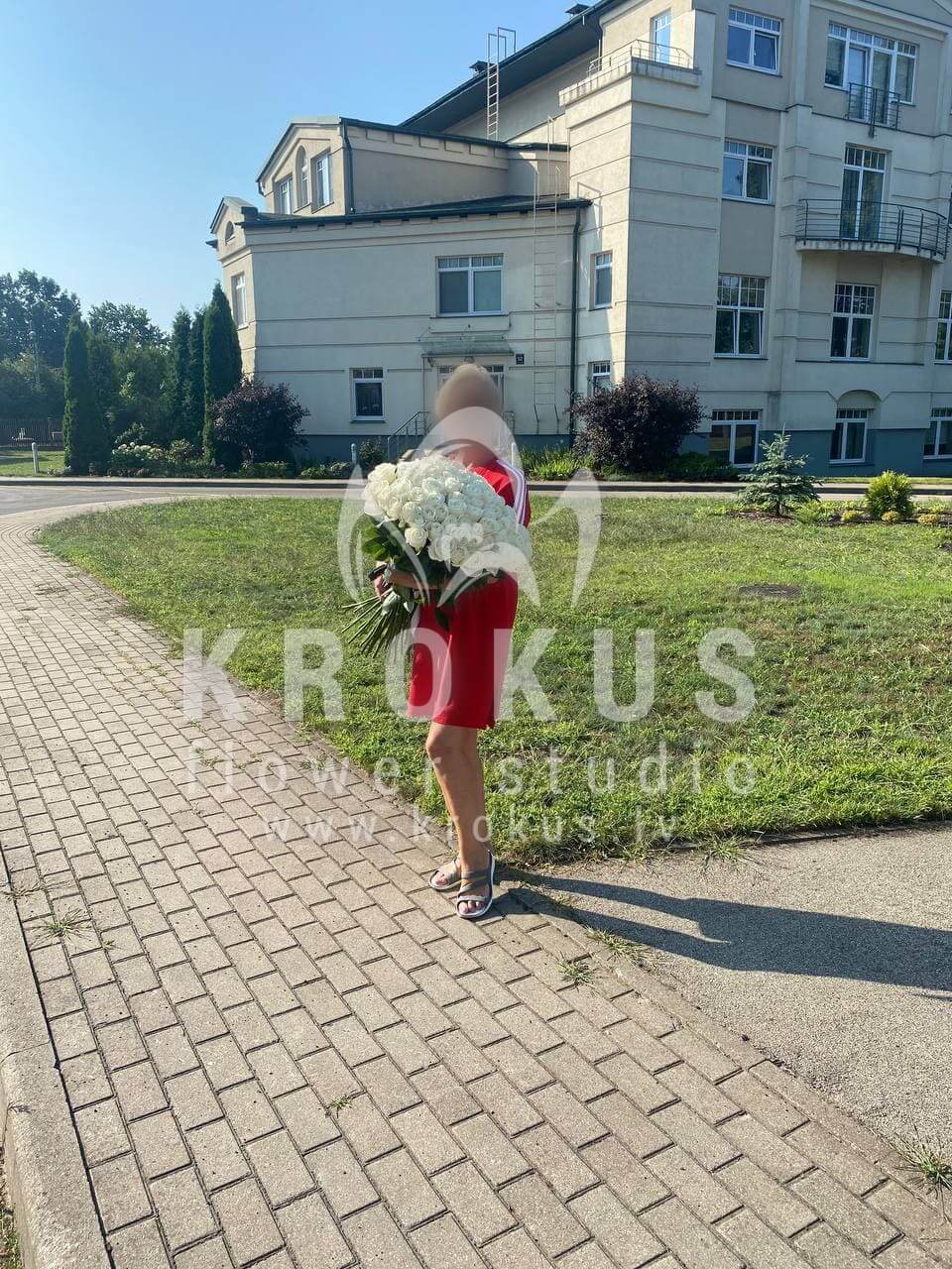 Deliver flowers to Rīga (white roses)