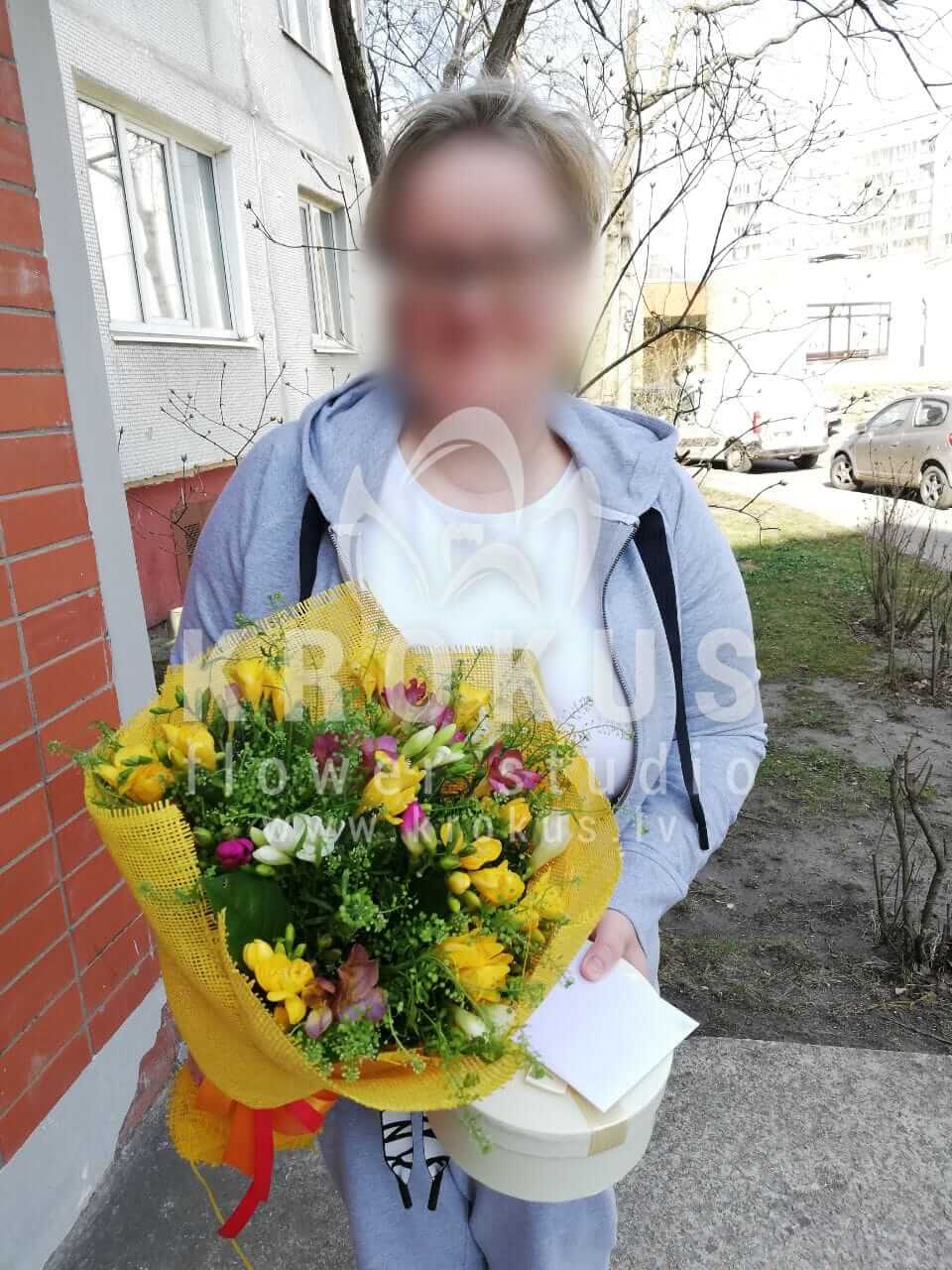 Доставка цветов в город Рига (фрезииамбрелла)