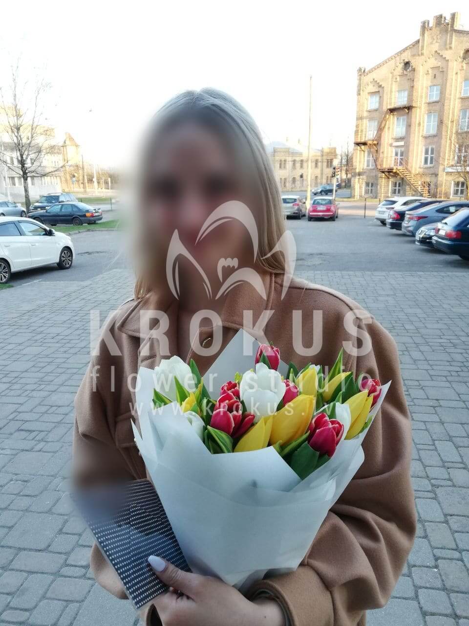 Deliver flowers to Rīga (tulips)