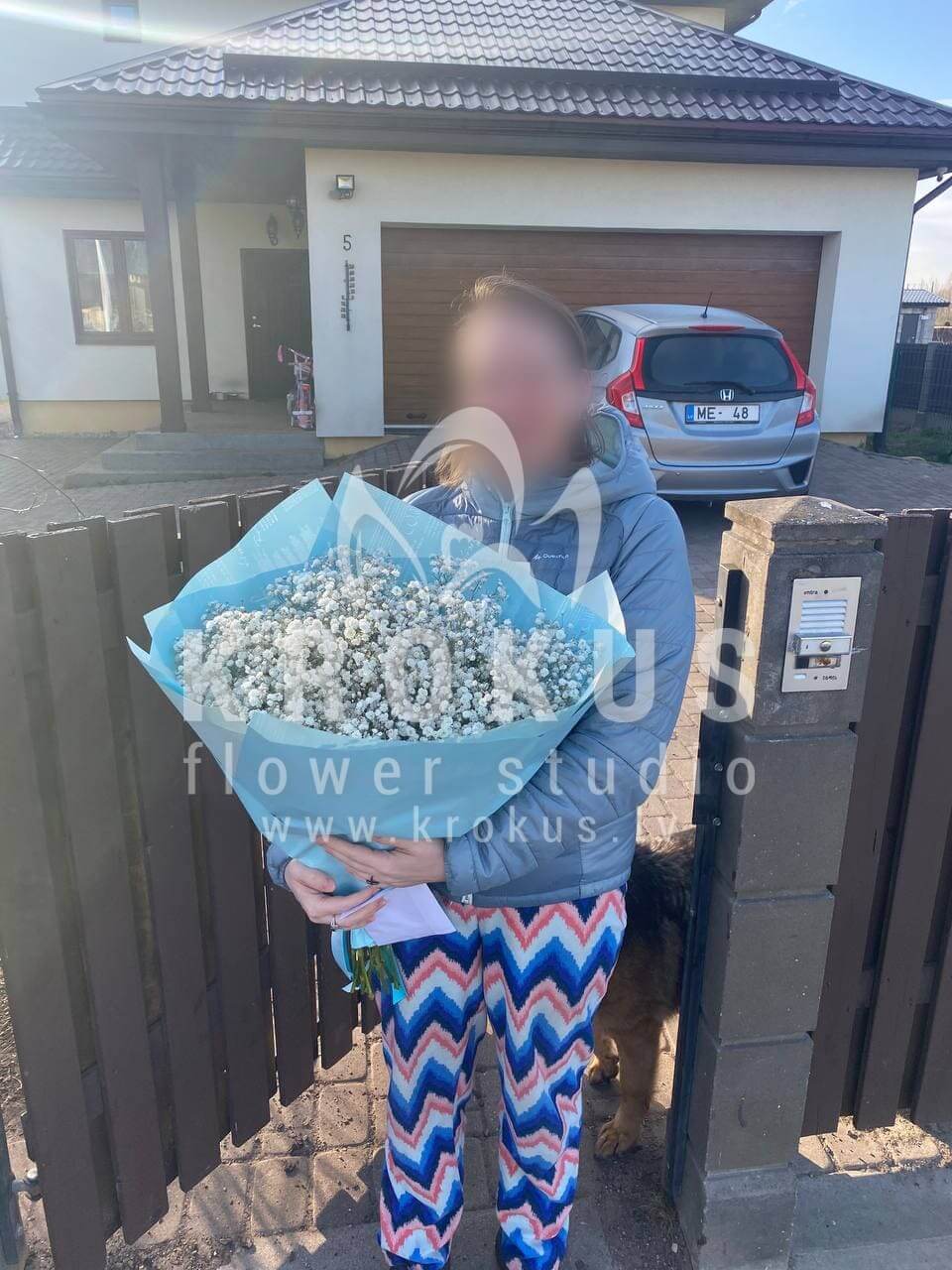 Deliver flowers to Pārolaine (gypsophila)