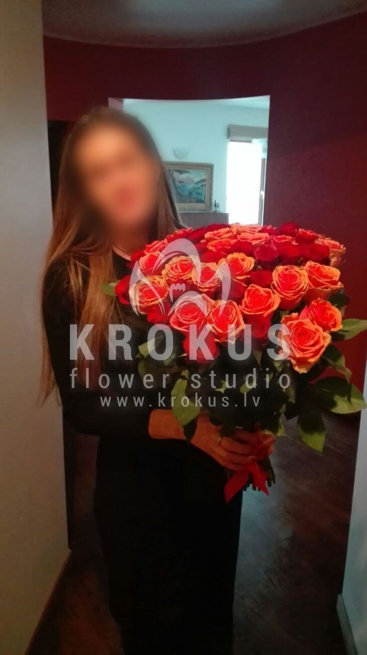 Deliver flowers to Latvia (pink roseswhite rosesyellow rosesorange rosesred roses)