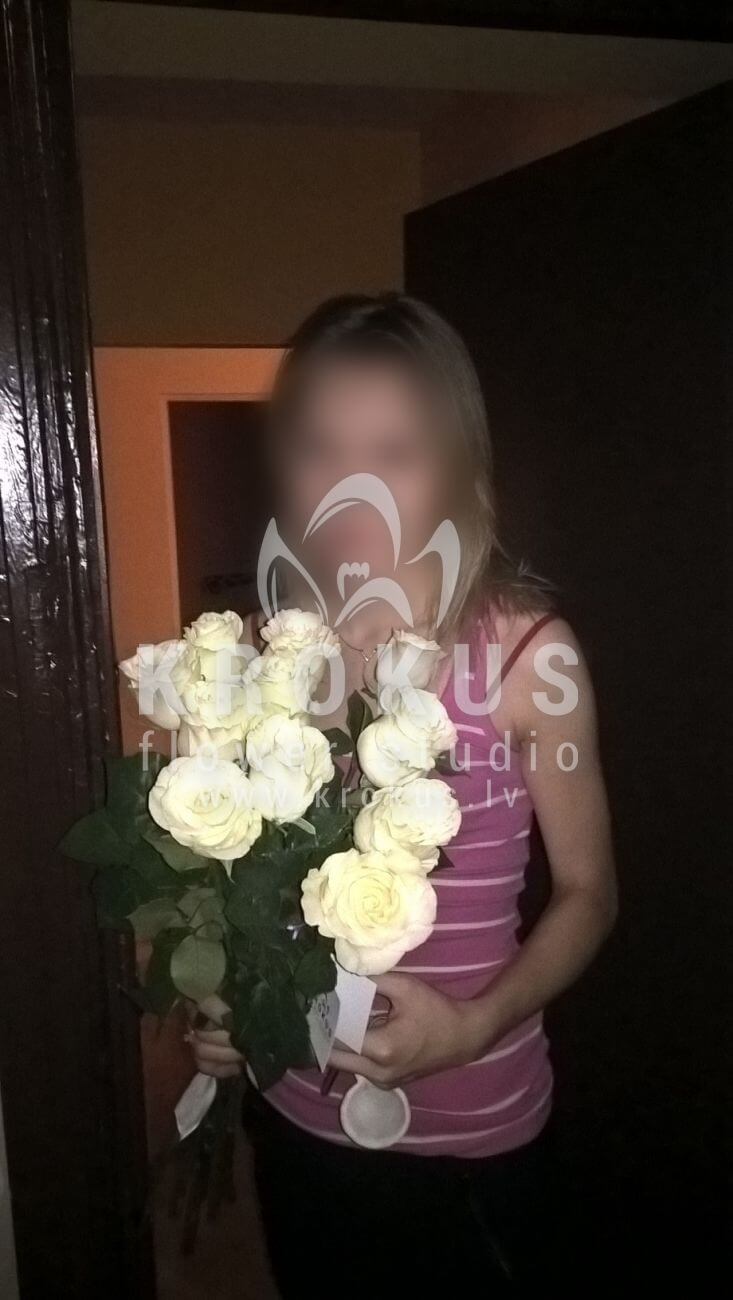 Доставка цветов в город Latvia (белые розы)