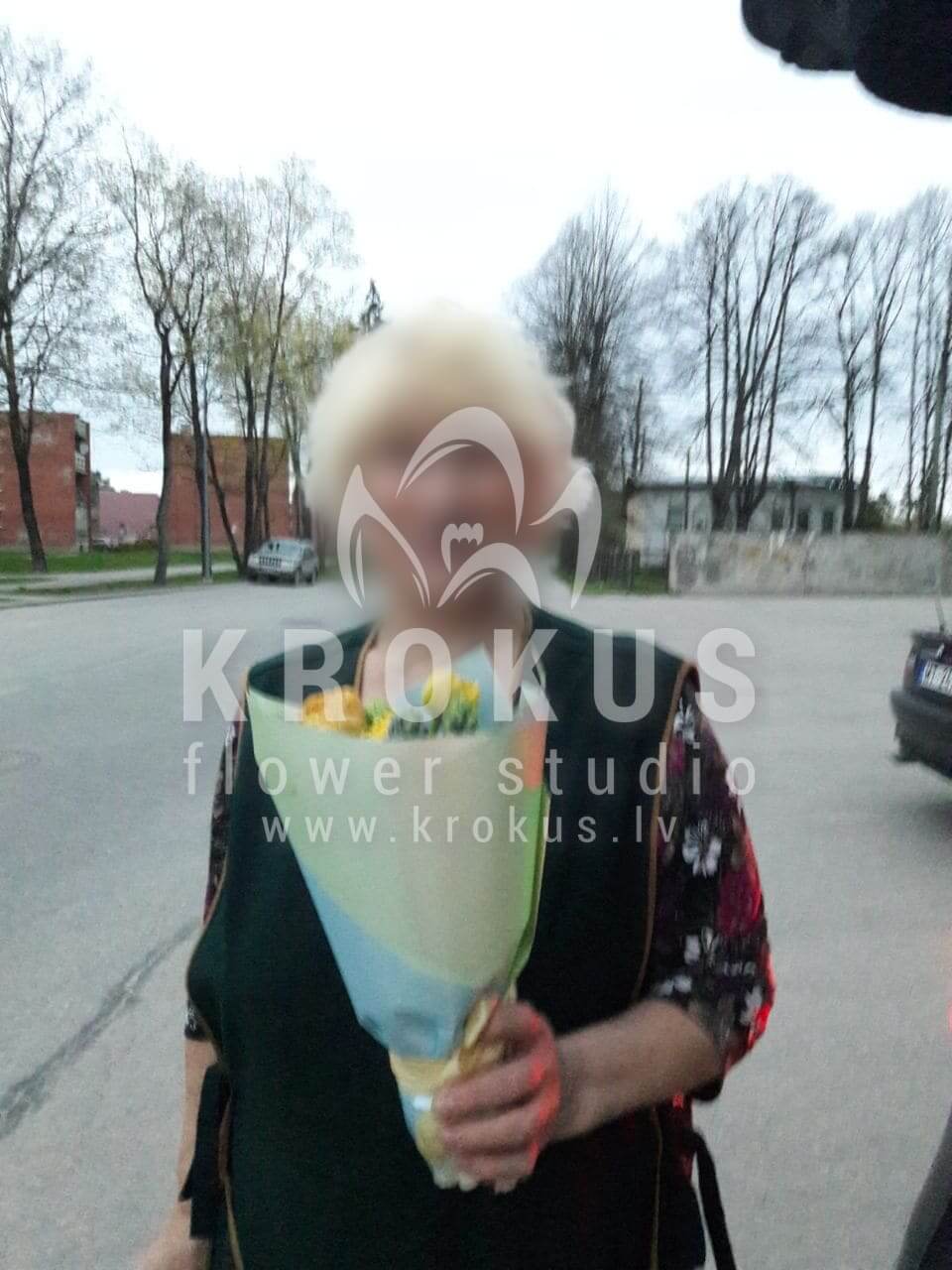 Ziedu piegāde Latvia Ogre (tulpeshiacinte)