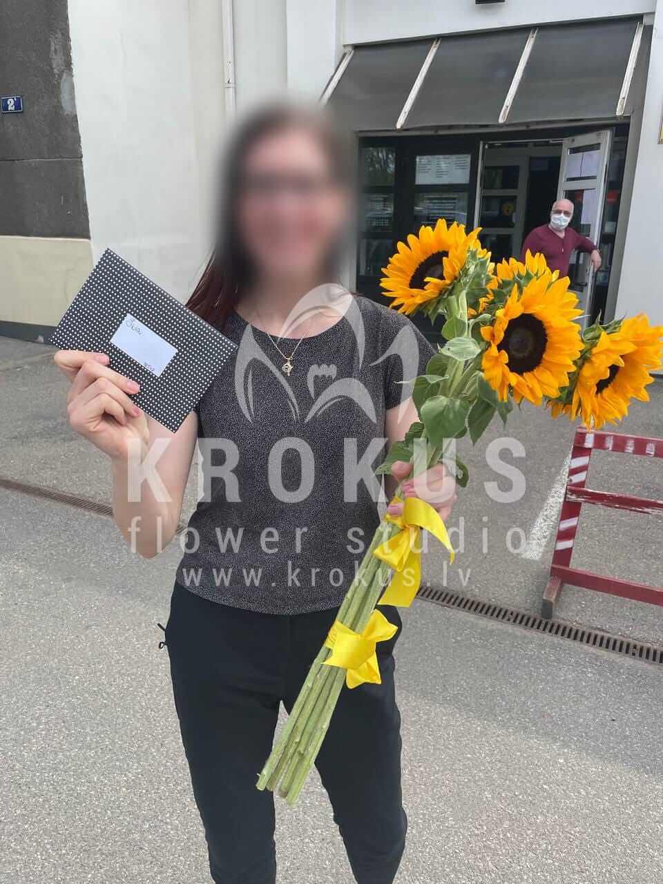 Deliver flowers to Rīga (sunflowers)