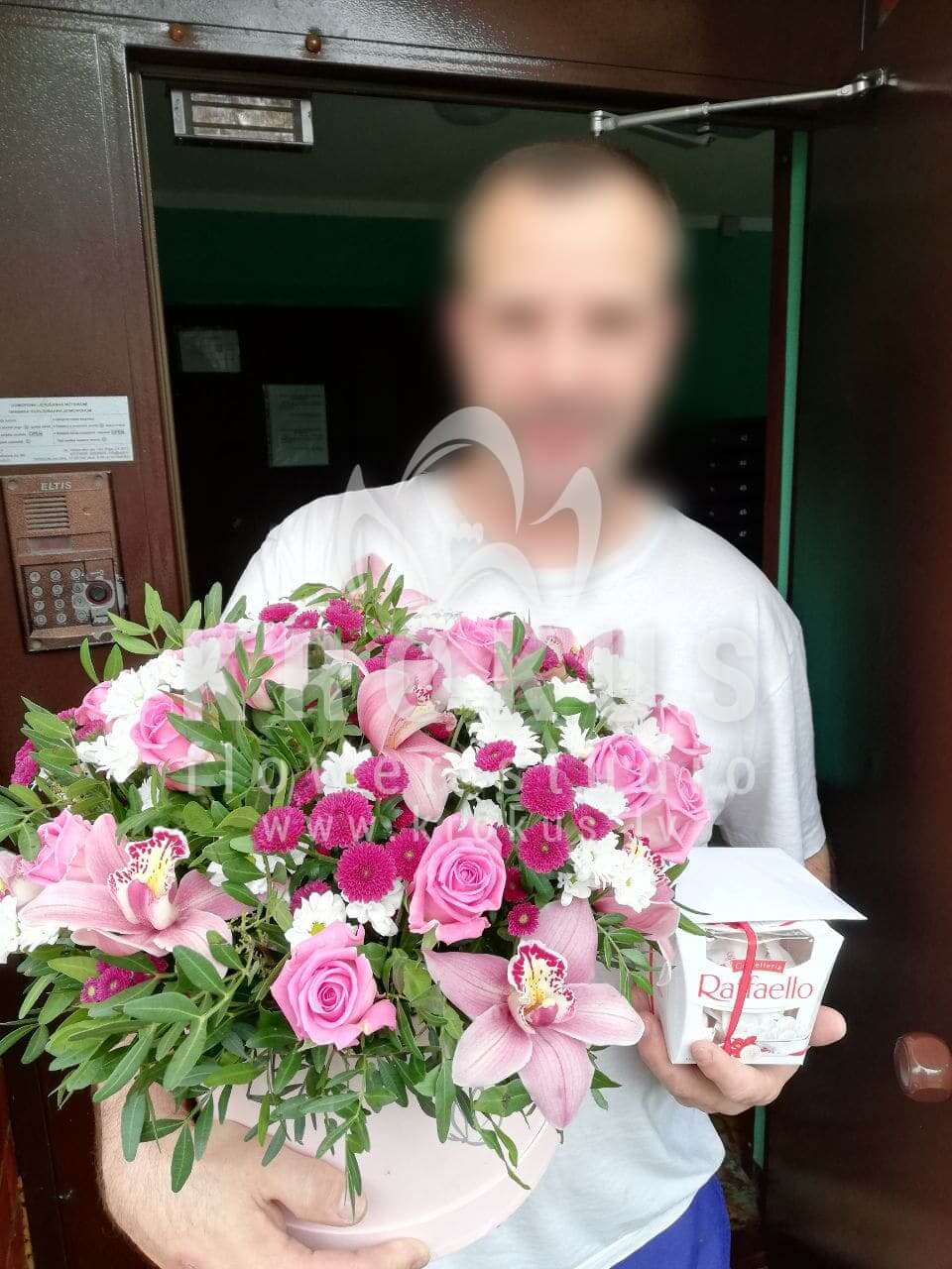 Доставка цветов в город Рига (кустовые розыфисташкаорхидеихризантемы)