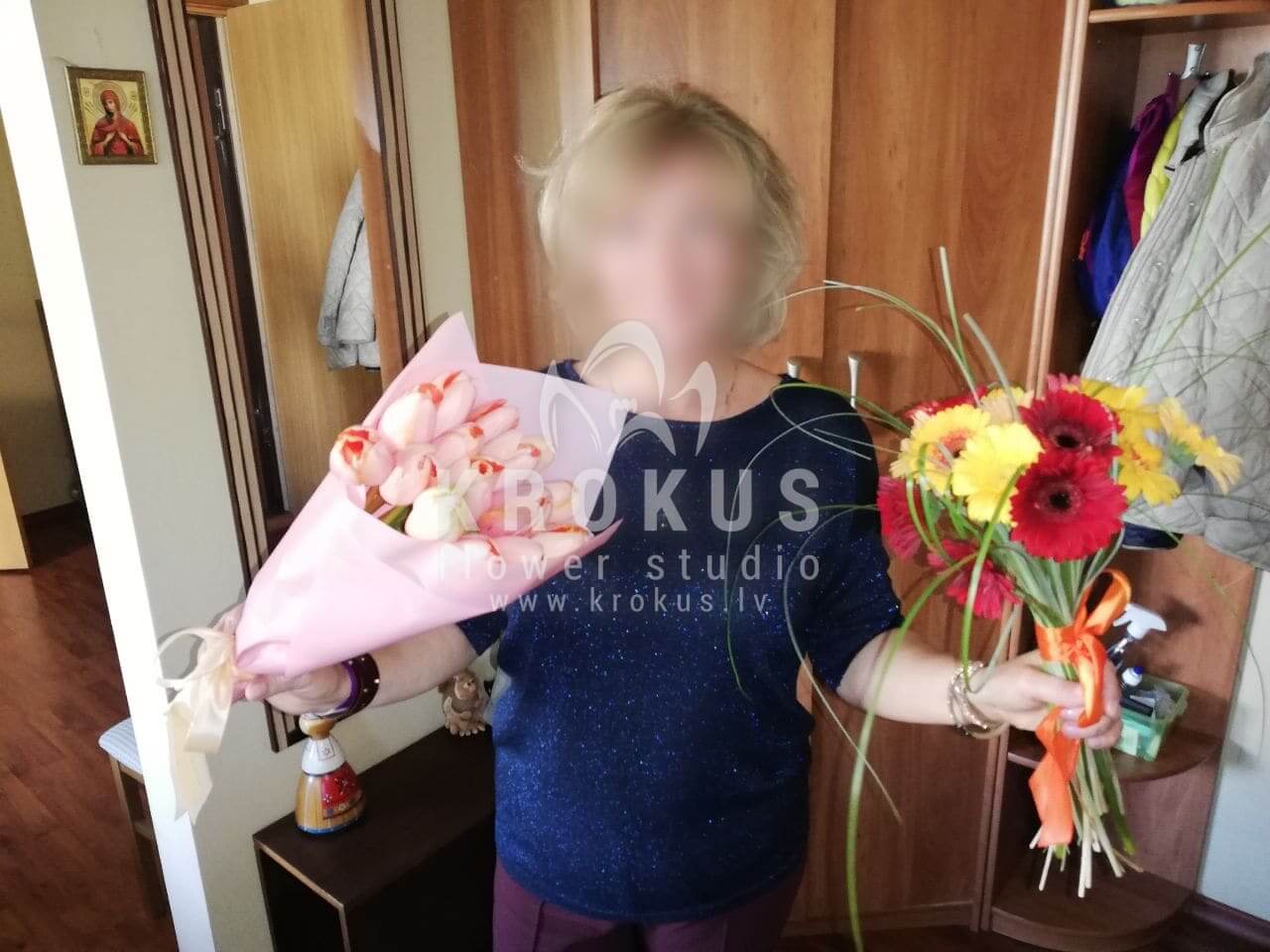 Deliver flowers to Rīga (germini)