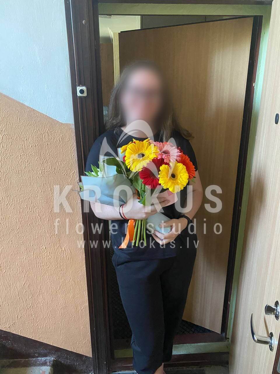 Deliver flowers to Rīga (tulipssalaldaisies)