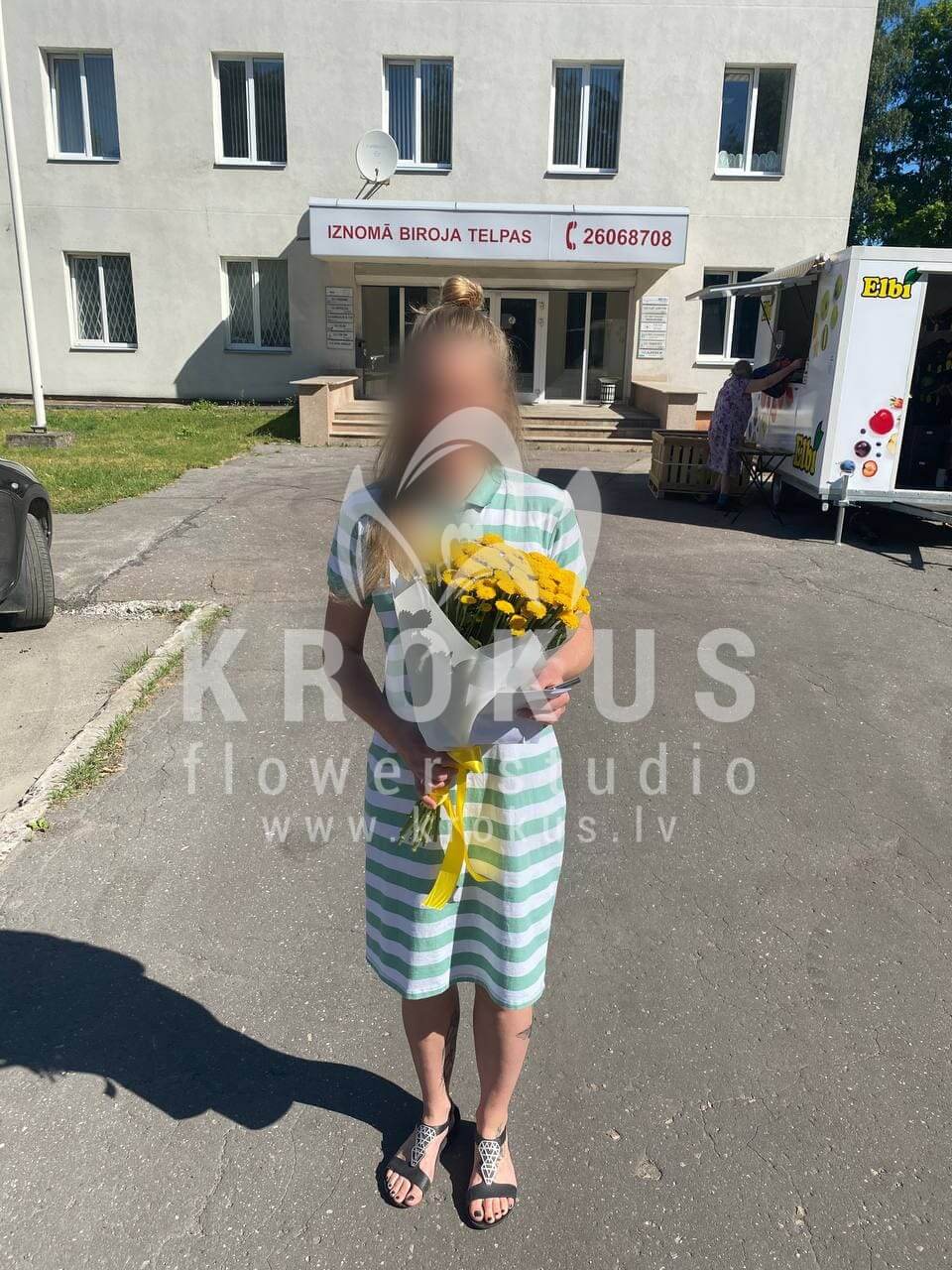 Deliver flowers to Rīga (chrysanthemums)
