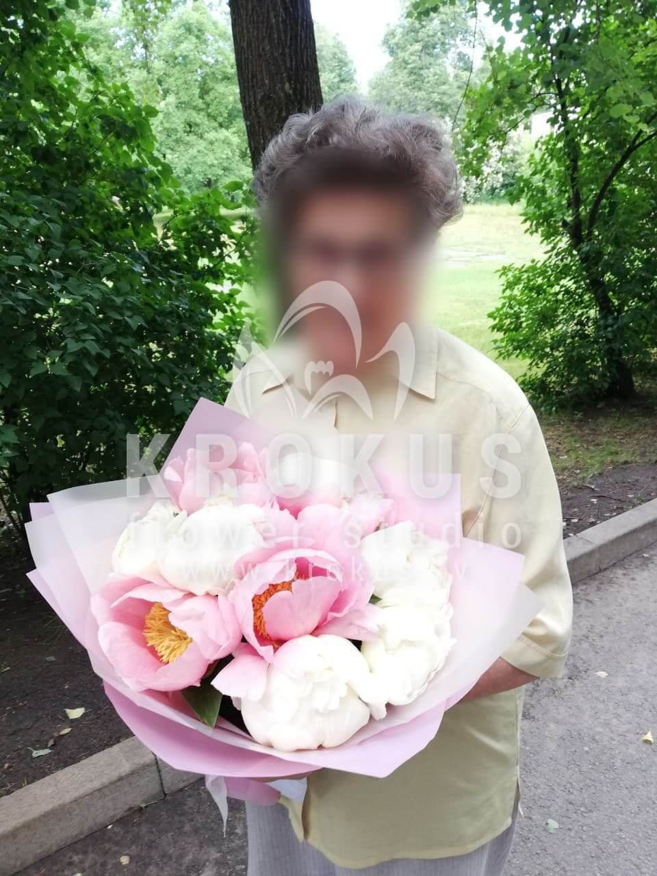 Deliver flowers to Rīga (peonies)