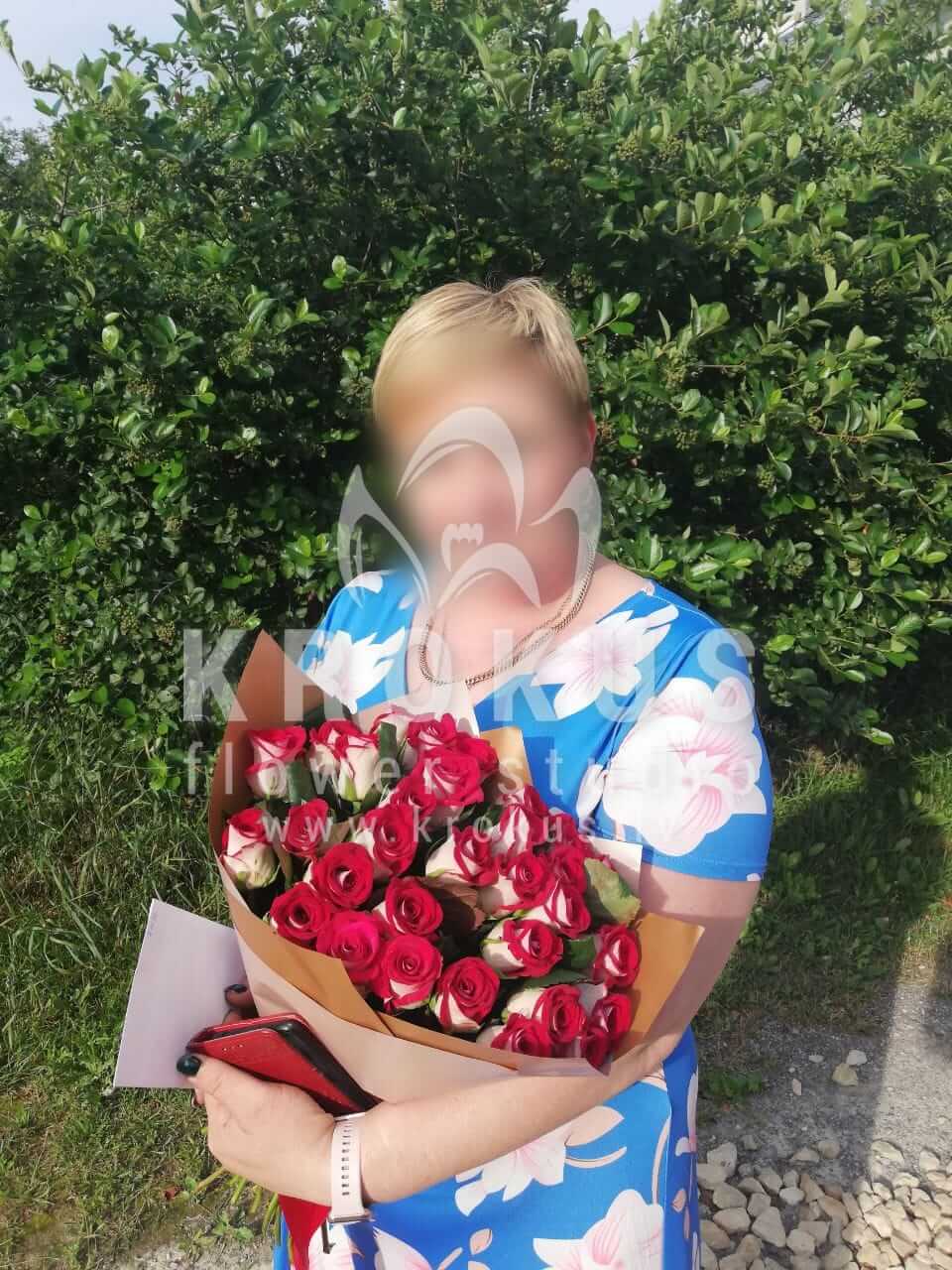 Ziedu piegāde Latvia Mežezeri (divkrāsu rozes)