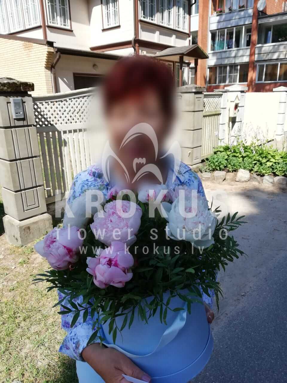 Ziedu piegāde Latvia Jūrmala (pistācijastilīga kastītepeonijas)