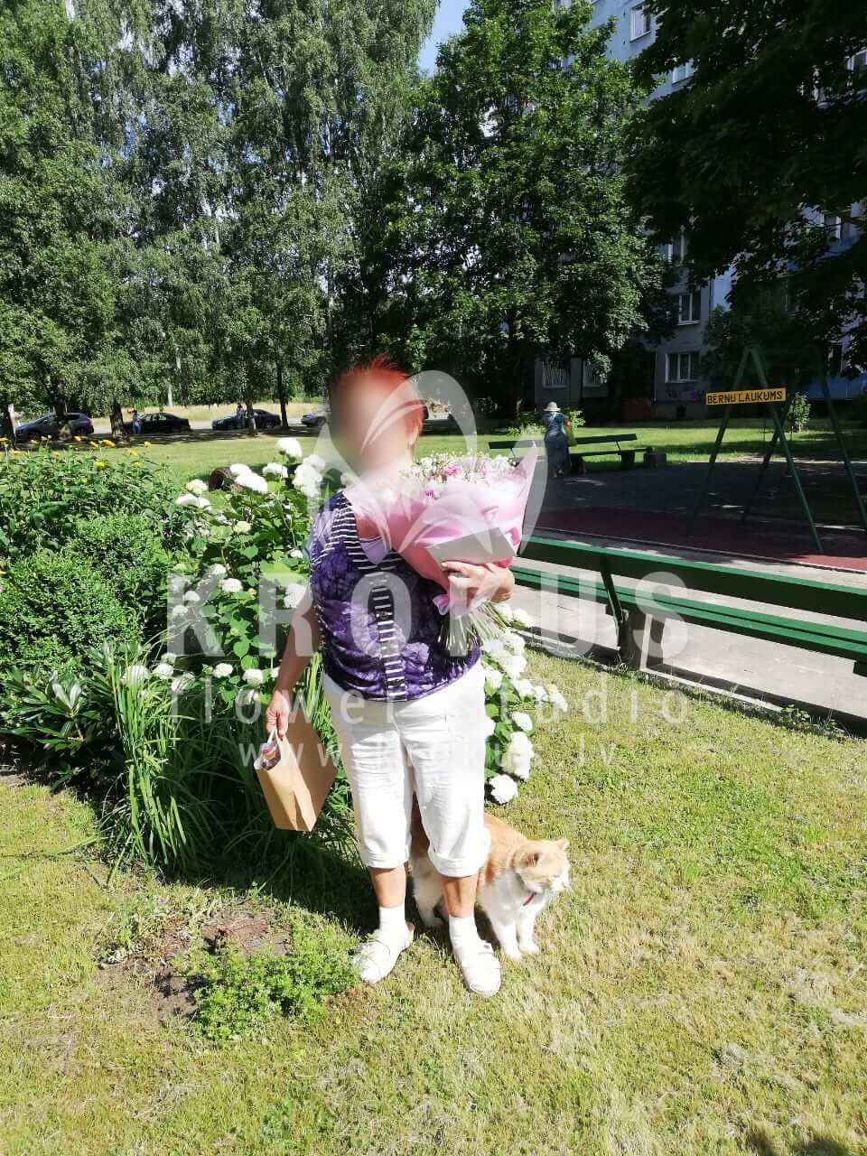 Доставка цветов в город Рига (кустовые розырозовые розытюльпаныгипсофиларускусвероникализиантусы (эустома))