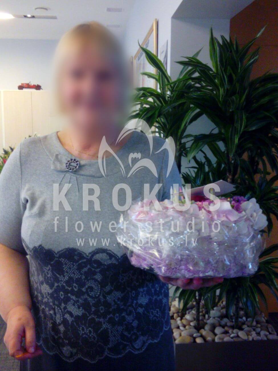 Deliver flowers to Latvia (cloveschrysanthemumswaxflowerhydrangeas)