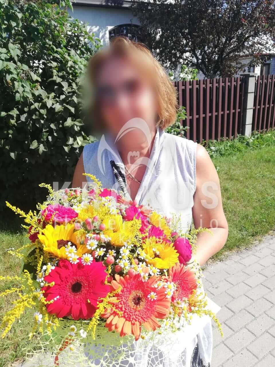 Ziedu piegāde Latvia Rīga (krūmrozessaulespuķespļavas puķessolidagokrizantēmas hypericumgerberas)