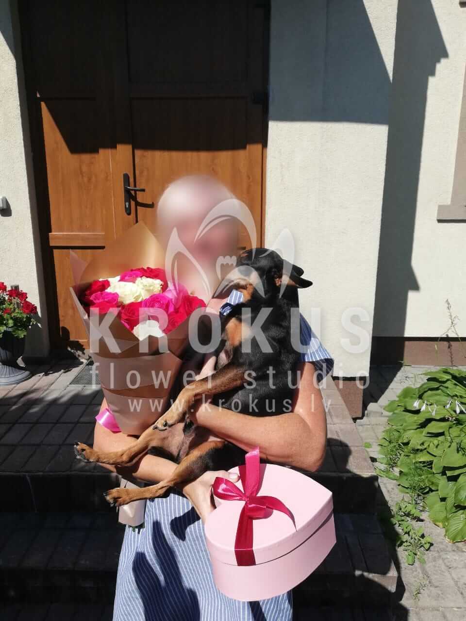 Ziedu piegāde Latvia Jūrmala (rozā rozesbaltas rozesoranžas rozesdzeltenas rozessarkanas rozes)