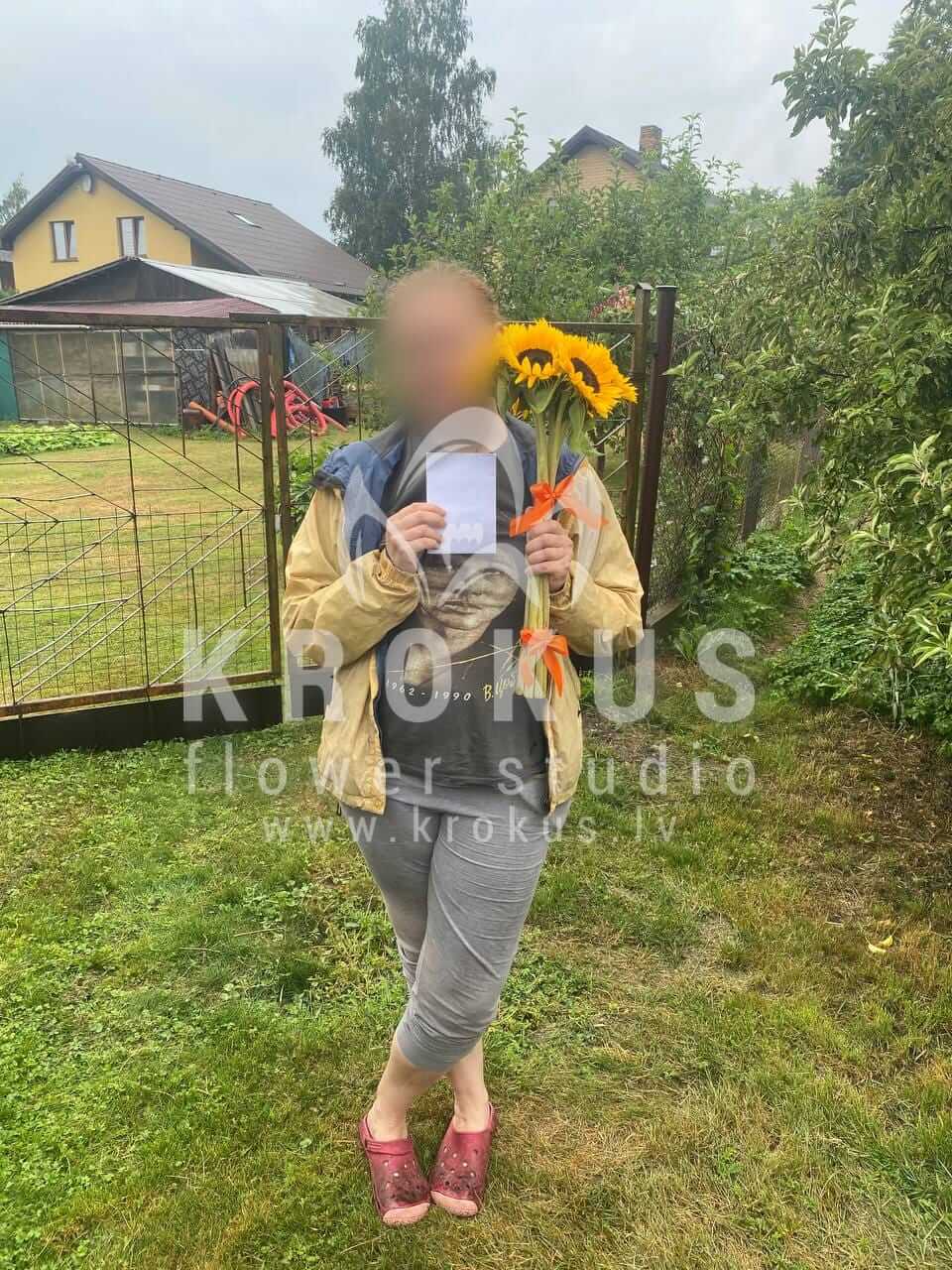 Deliver flowers to Medemciems (sunflowers)