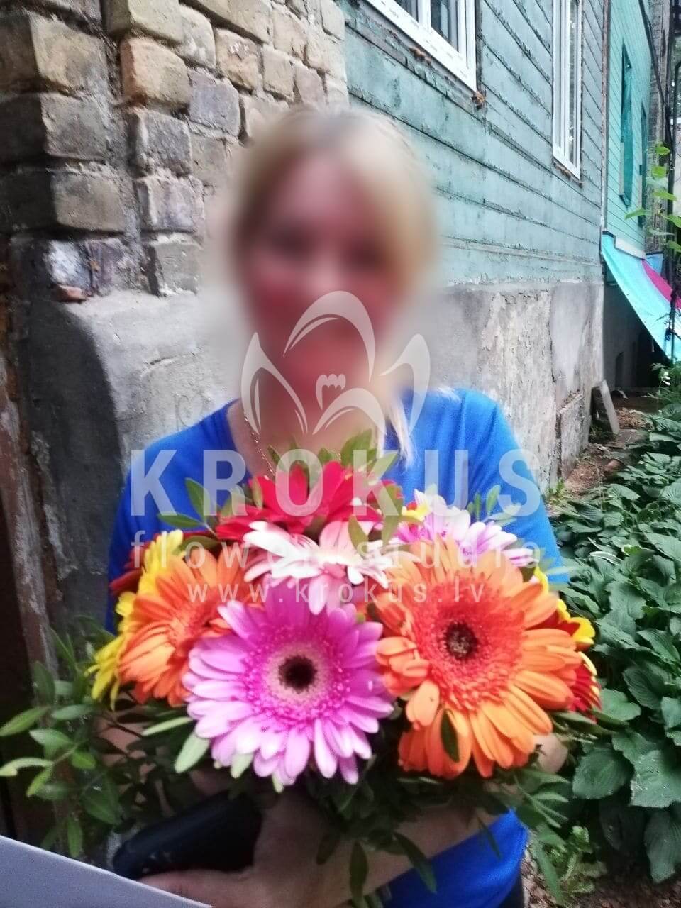 Доставка цветов в город Рига (салалгерберы)
