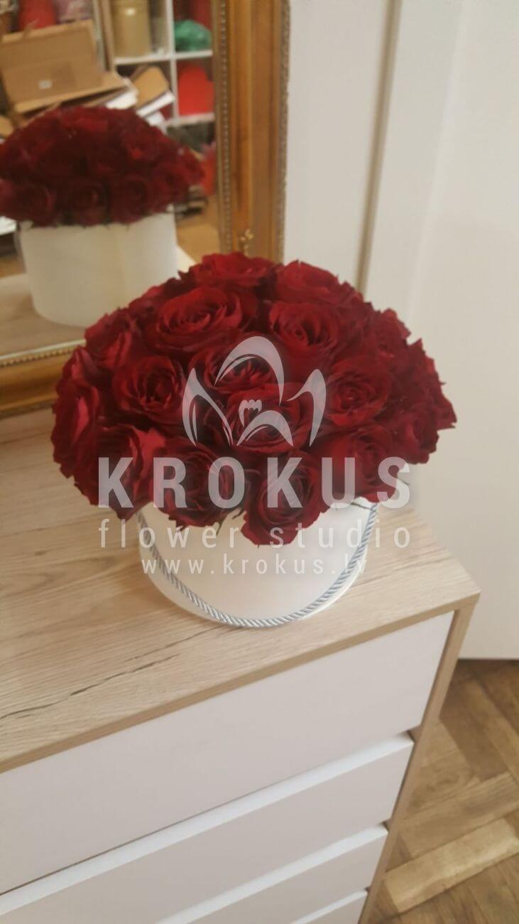 Ziedu piegāde Latvia Latvia (kastesarkanas rozes)