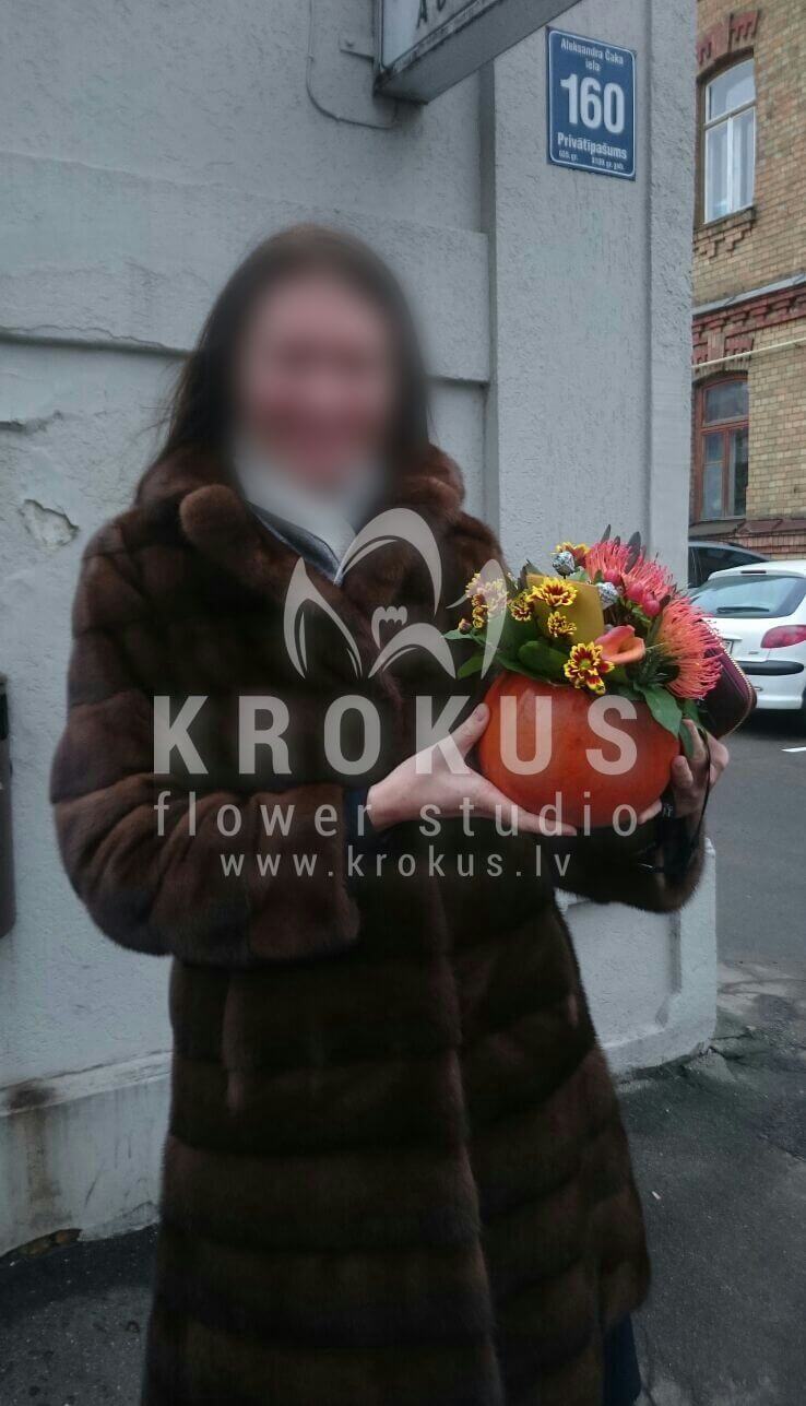 Deliver flowers to Latvia (ilexbrunialeucadendronleucospermumpumpkin)