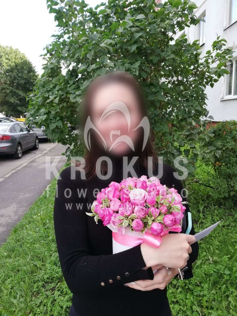Доставка цветов в город Рига (кустовые розыэвкалипт)