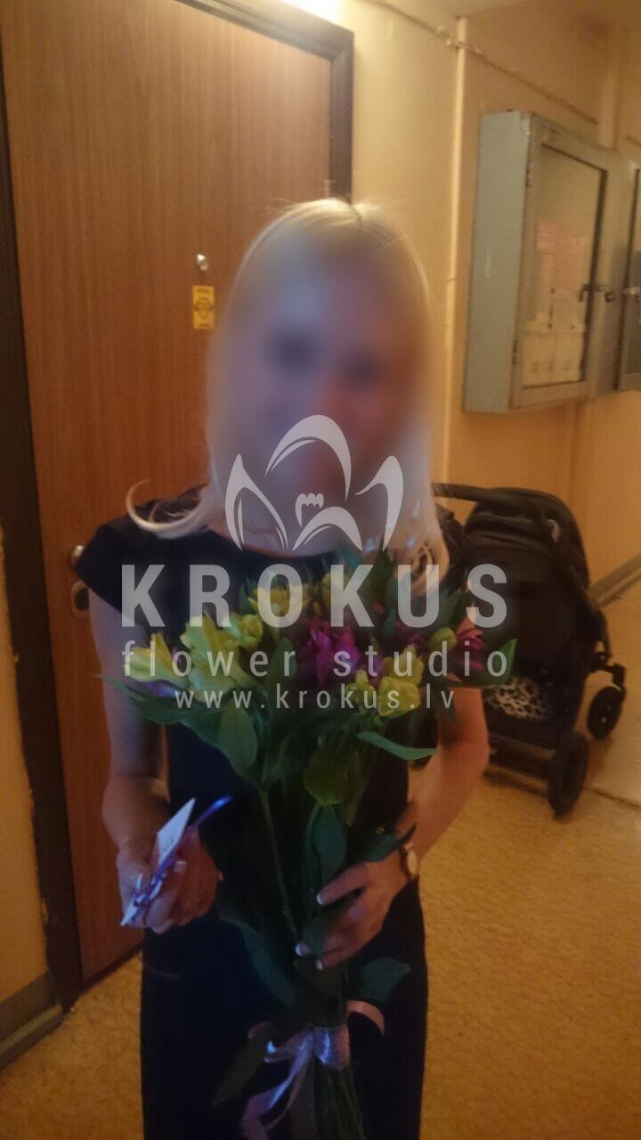 Ziedu piegāde Latvia Latvia (alstremērija)