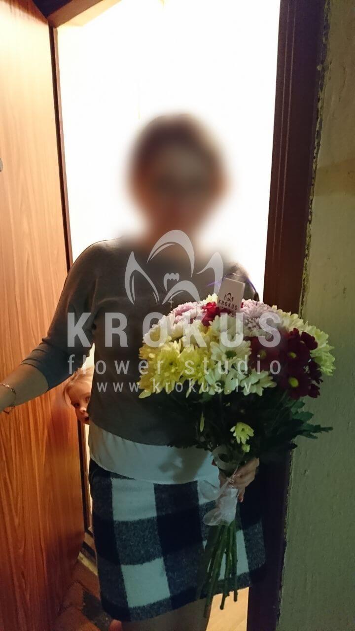 Deliver flowers to Latvia (chrysanthemums)