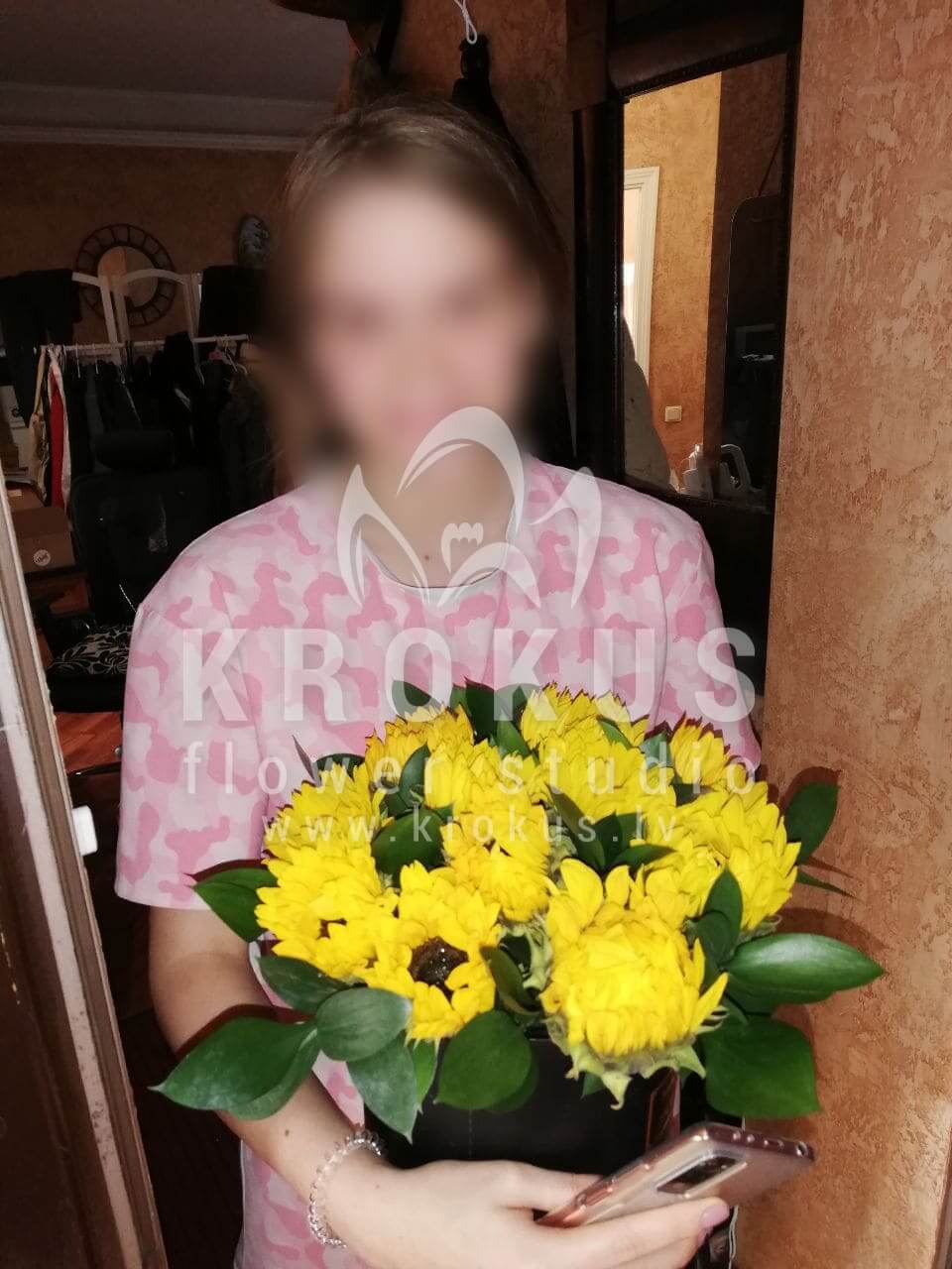 Deliver flowers to Rīga (sunflowersaspidistra)
