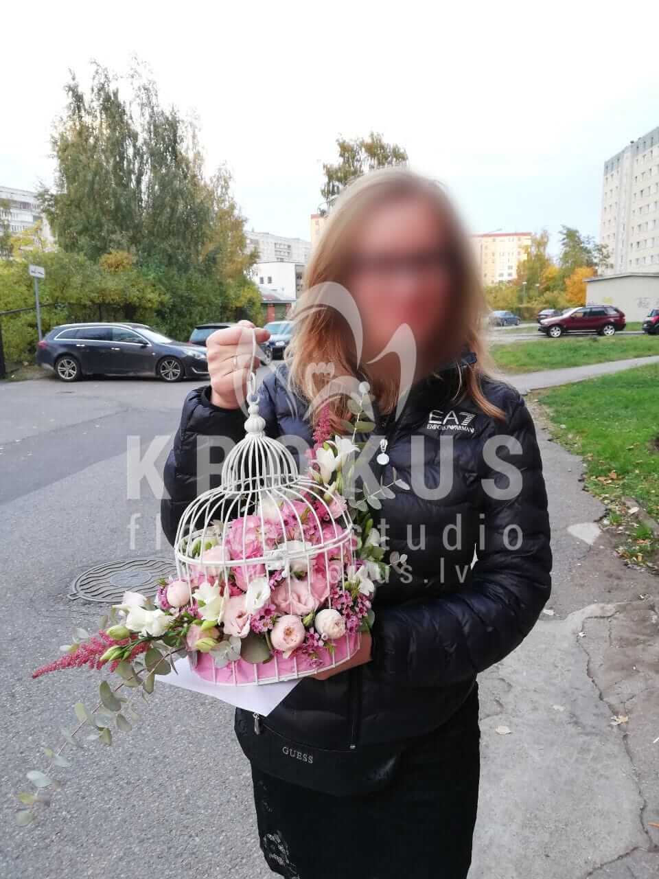 Deliver flowers to Rīga ()